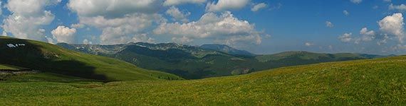 Transalpina II