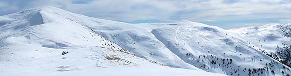 Culmea Neamțu (III)