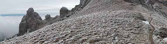 Turnul lui Goliat (Moșul cu oile) (III)