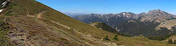 Lângă Vf. Muntele Roșu