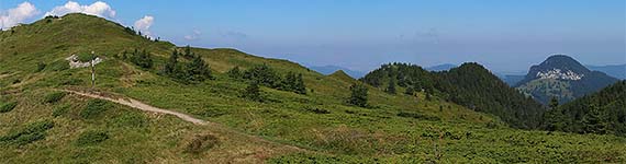 Culmea Bratocea (III)